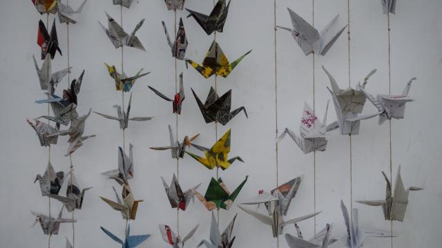 WWF Cymru, Head 4 Arts