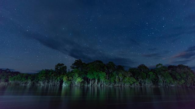 Amazon, La Chorrera, Colombia.