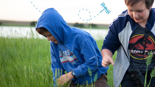 LTLN Grasslands Banner