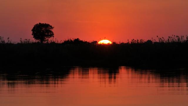 Sunset, Wild Dogs Symposium Mahangu Safari Lodge