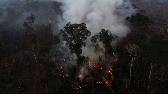 A tract of the Amazon jungle burns as it is cleared by loggers and farmers near Apui, Amazonas State, Brazil 