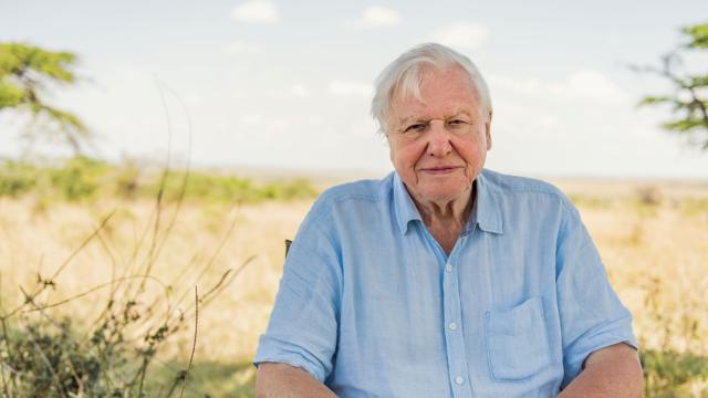 Sir David Attenborough