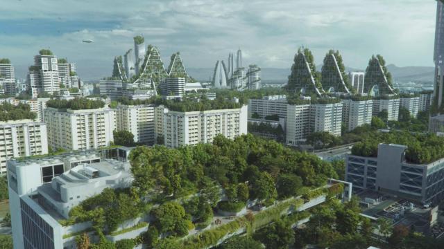 Future Visions - Silverback Films