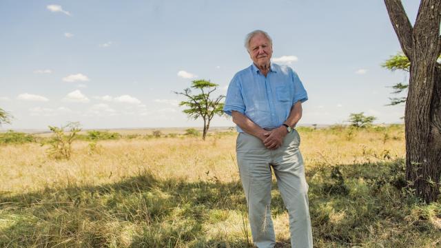 Sir David Attenborough