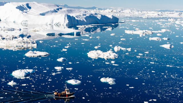a fishing vessel attracts seabirds against a background of icebergs near Ilulissat, Greenland