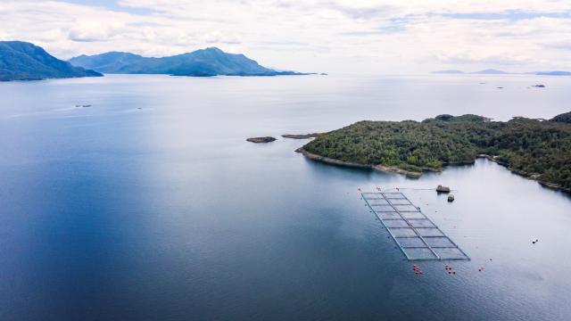 Salmon Farm in Aysen Region, Chile