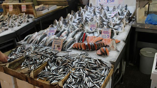 Fish Stall, Athens