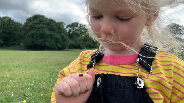 Girl with ladybird