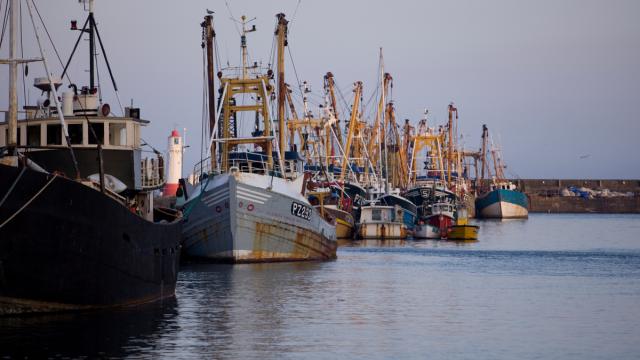 Fishing trawlers moored in Newlyn Harbour