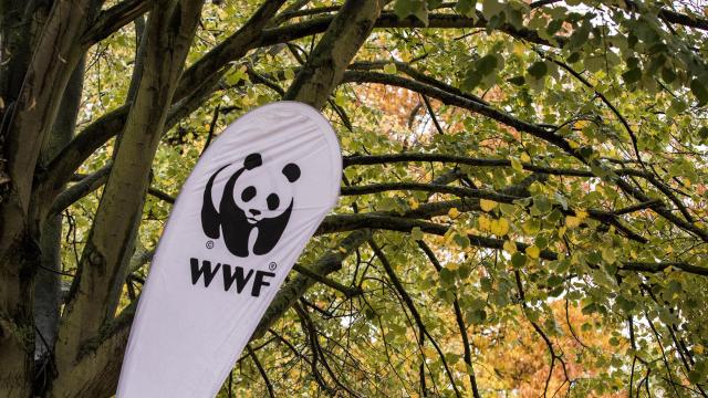 WWF Flag