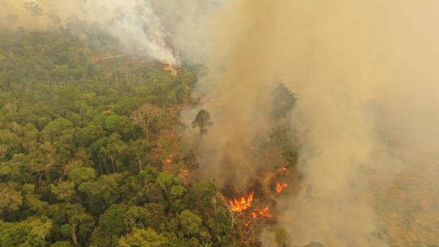Amazon fires in Brazil
