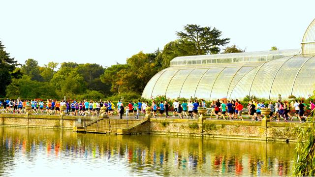 Runners passing the Palm building at Kew Gardens