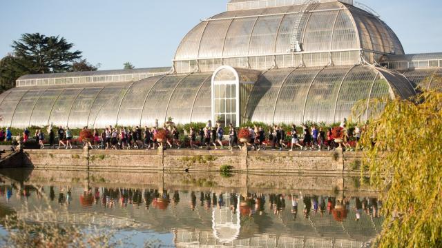 The Palm building at Kew Gardens