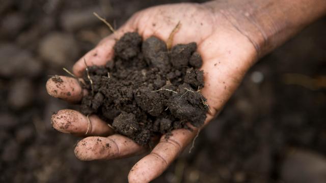 Soil in Kasese, Rwenzori Mountains, Uganda. 