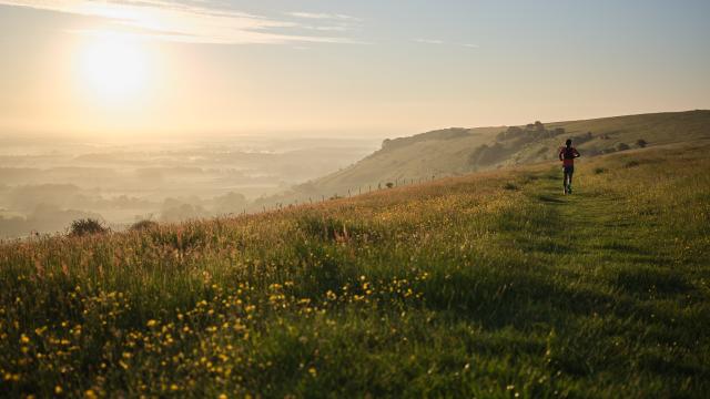 Trail runner in the South Downs National Park