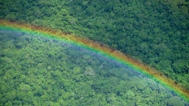Aerial view of landscape with rainbow seen during a flight from Trinidad to Bellavista, Beni Department of Bolivia.