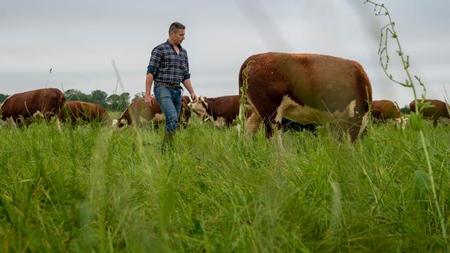 Farmer in field
