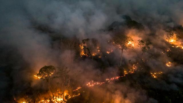 Amazon Rainforest deforestation and fire