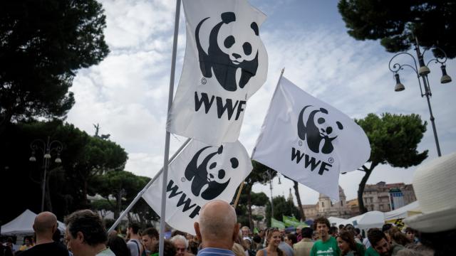 Membership WWF