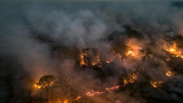 Amazon Rainforest deforestation and fire