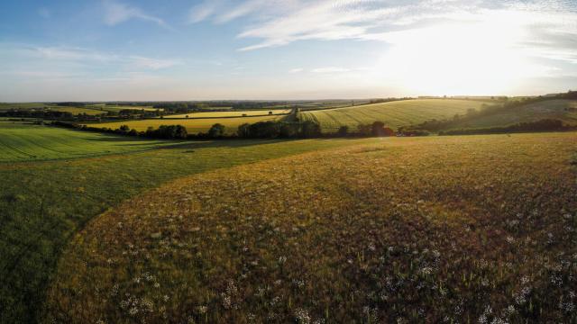 © Joseph Gray / WWF UK.jpg