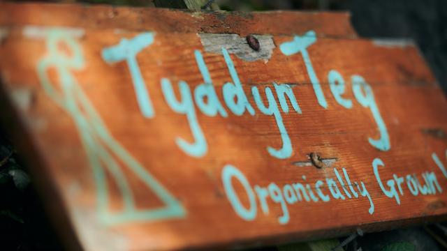 The farm sign of Tyddyn Teg in north Wales.