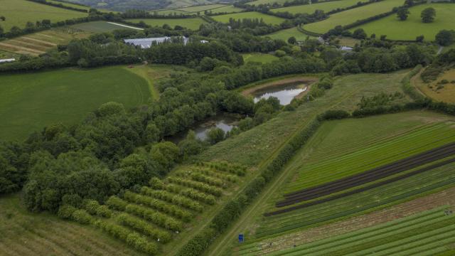 Riverford Farm in Devon