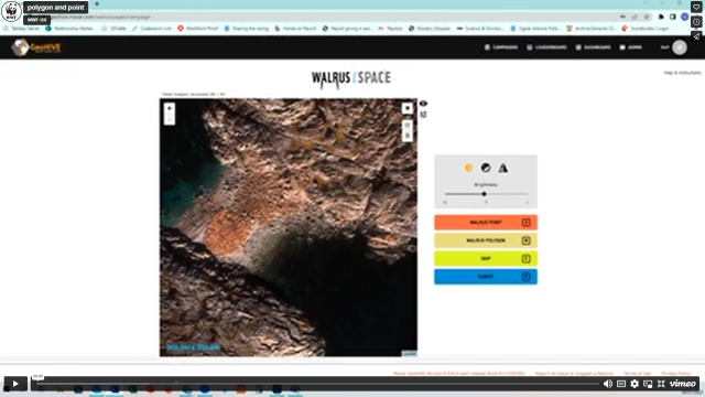 A screen grab of the Counting walrus video - Polygon and Point