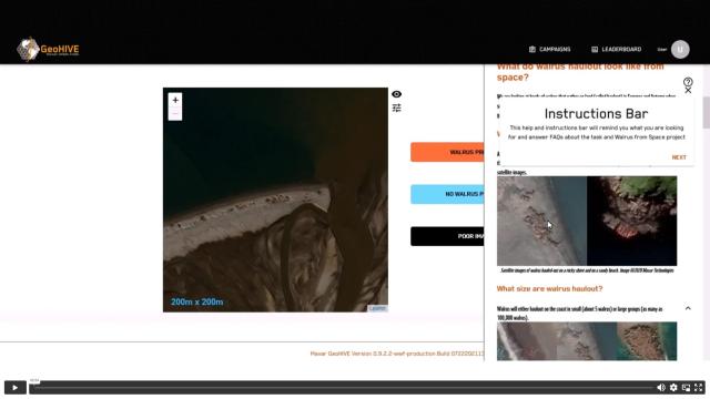Walrus from Space video 2 thumbnail