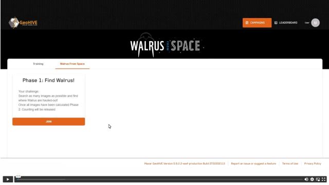 Walrus from Space, video 3 thumbnail