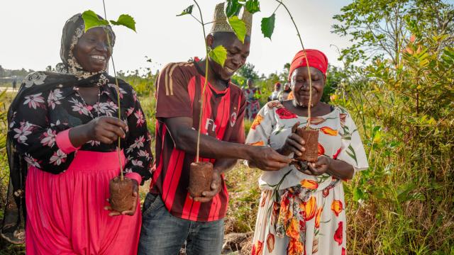Community members participate in tree planting exercises in Kazimzumbwi Forest Reserve, Tanzania.