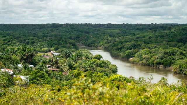 Aerial view of La Chorrera town and surrounding Amazon forest on the banks of the Igara Paraná River.