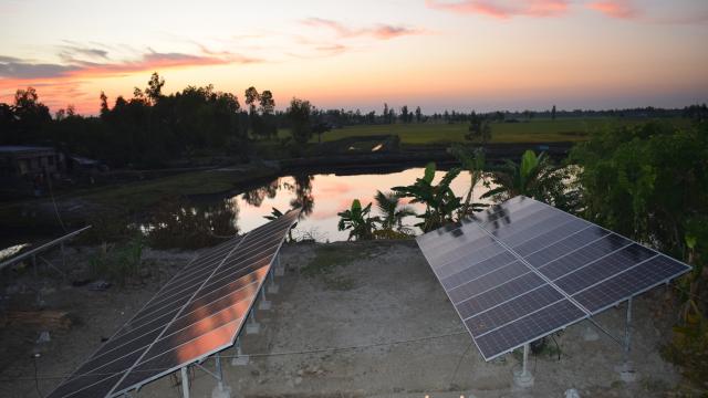An image of solar panels at sunset