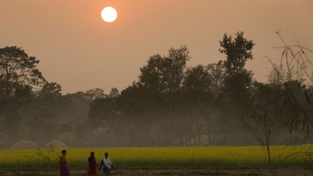 Sunset in the village of Bhagriya, which is situated in the Khata corridor in Bardiya district, Nepal.