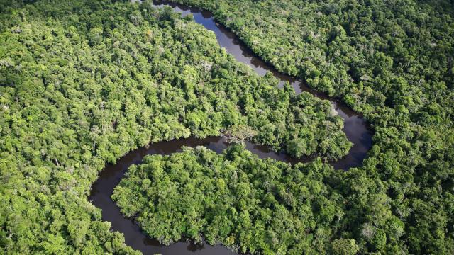 Aerial shot of the Amazon with a winding river, Loreto region, Peru.