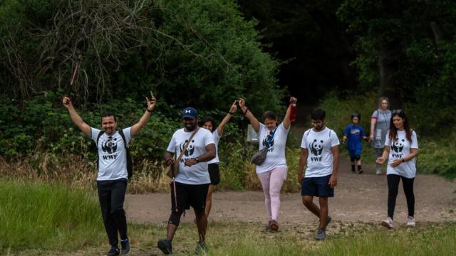 WWF Great Wild Walks Group Header