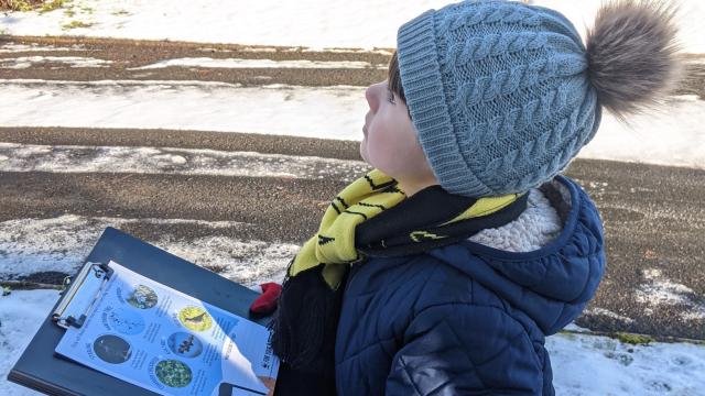 The Big Winter Wander - a little boy uses his spotter sheet to take part