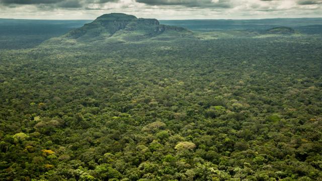 Aerial view of the tepuis of Chiribiquete National Park, Columbian Amazon