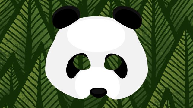 Panda Mask