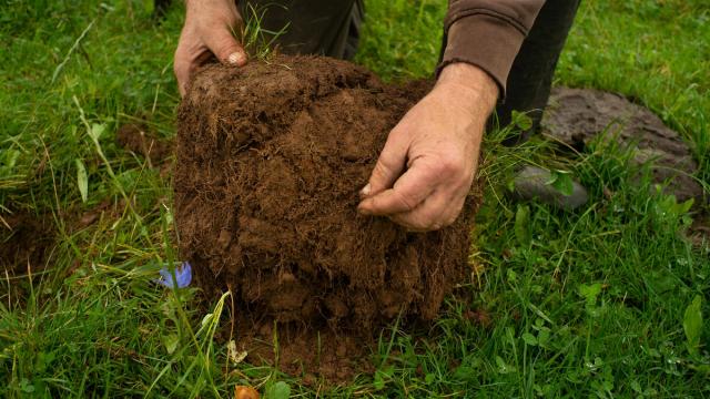 Regenerative farmer Hywel Morgan on his farm in Wales 