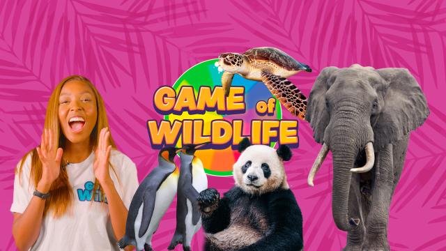 Game of Wildlife