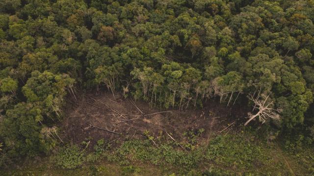 Aerial view of deforestation in the Colombian Amazon.
