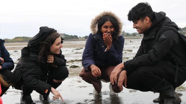 Three young people smiling and laughing whilst studying seagrass on a beach in Scotland.