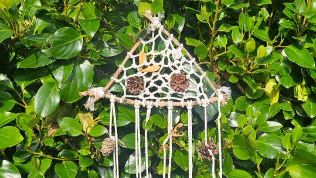 Dream Catcher in sunlight