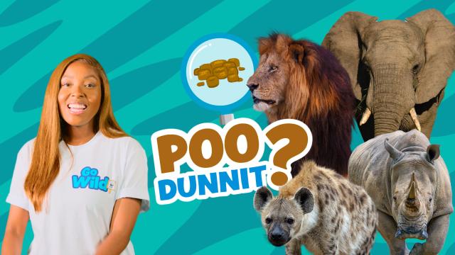 Poo-dunnit episode 2