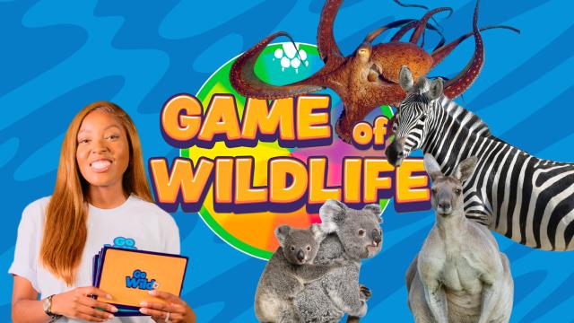 Game of wildlife episode 2