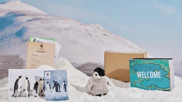 Penguin adoption pack