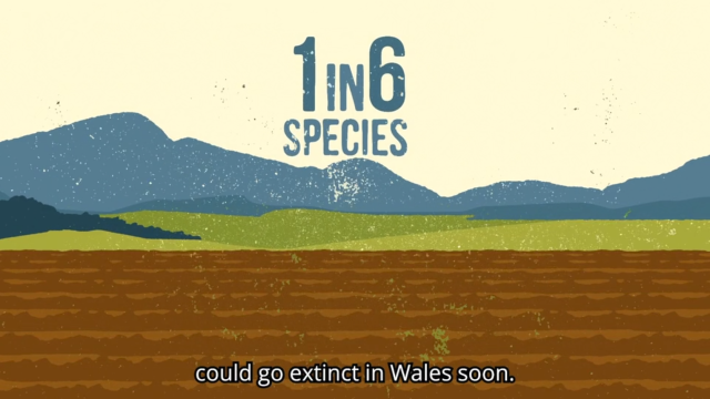 A graphic, showing mountains and a cultivated field, includes the text: 1 in 6 species could go extinct in Wales soon.