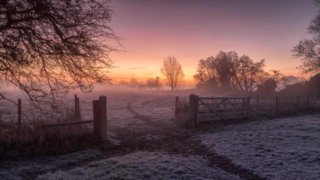 UK Nature through the seasons | WWF