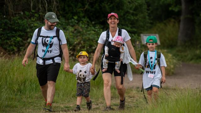 Family walking in a great wild walk